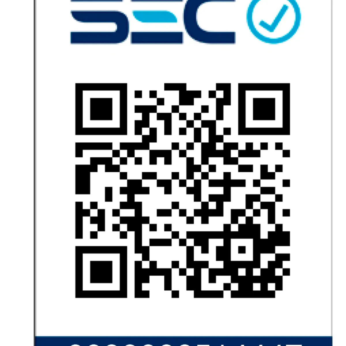 HUSQVARNA - Motosierra a gasolina Husqvarna Profesional 65.1cc naranja 365 4.6hp