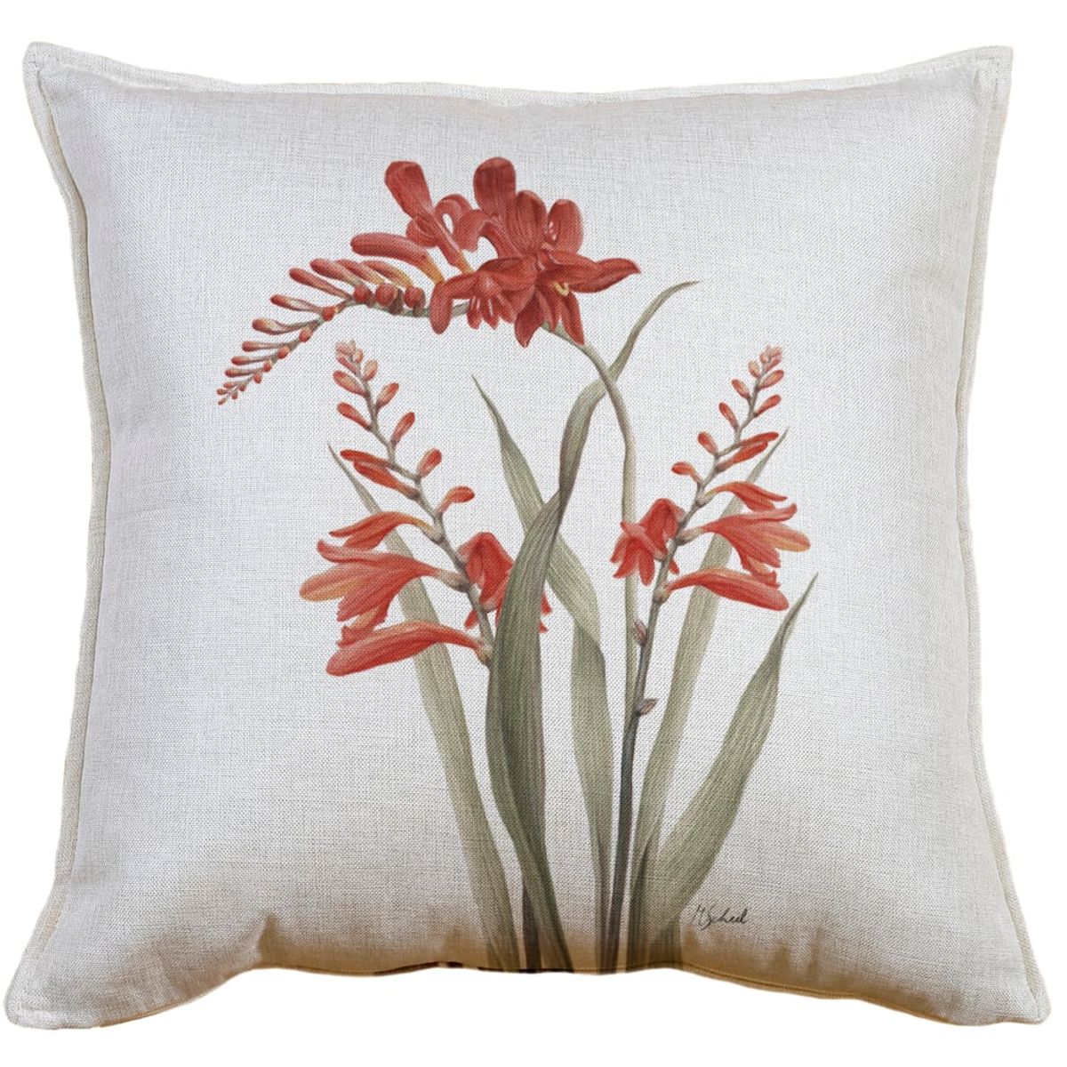MARGARITA SCHEEL BY CASA ALVARINHO - Funda Cojín Crocosmia 45x45