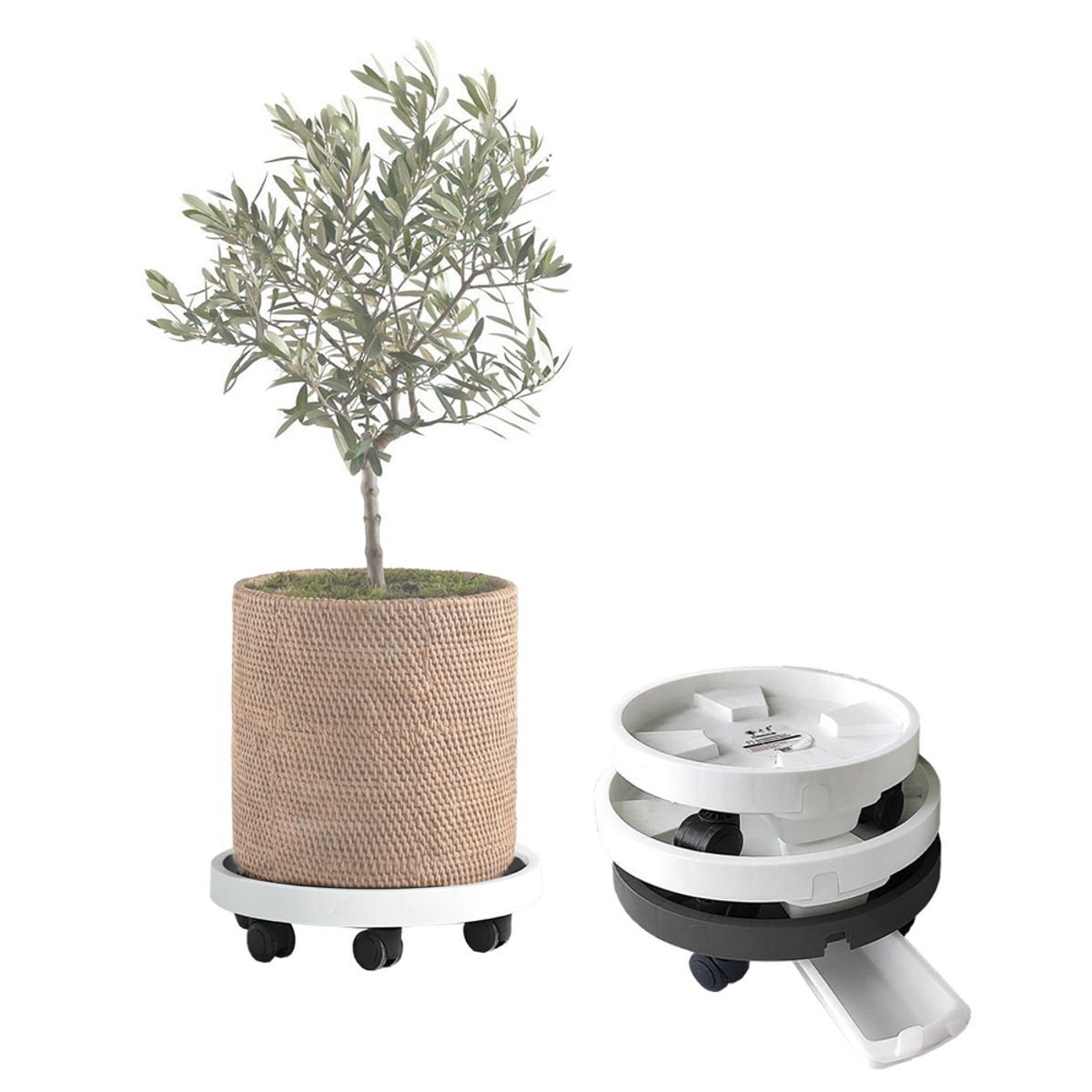 GENERICO - Porta Maceta Base Móvil Con Ruedas Y Bandeja Drenaje 23cm X3