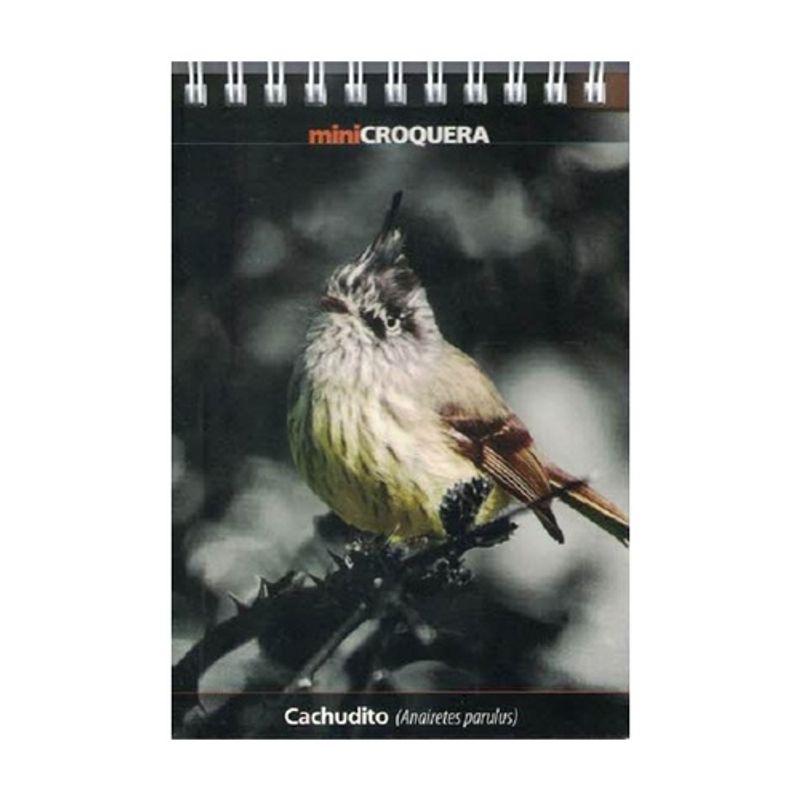ANTARTICA LIBROS - Mini Croquera Cachudito