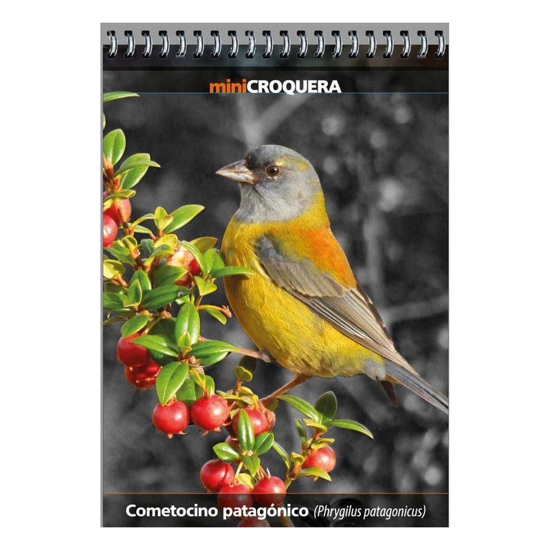 ANTARTICA LIBROS - Mini Croquera Cometocino Patagonico