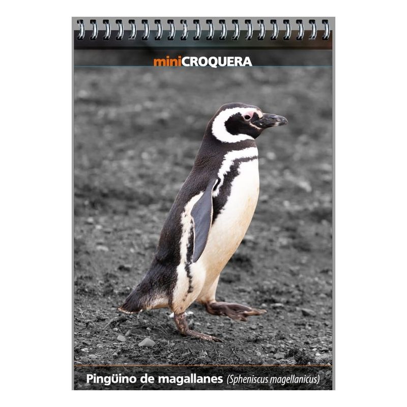 ANTARTICA LIBROS - Mini Croquera Pinguino De Magallanes
