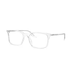 RAY BAN - Ray-Ban RX5421 RX5421 2001 55