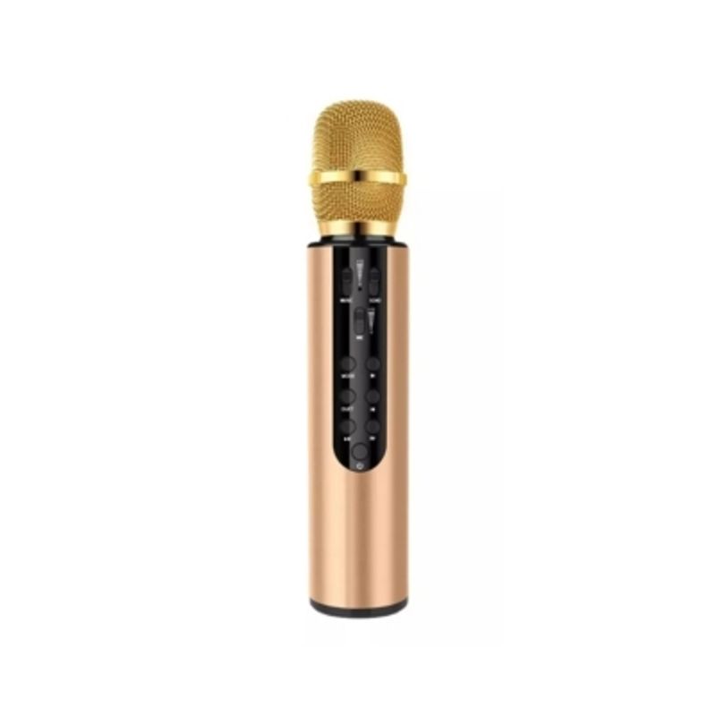 EVEREEN - Microfono Karaoke Micrófono Inalámbrico Microfono Usb-