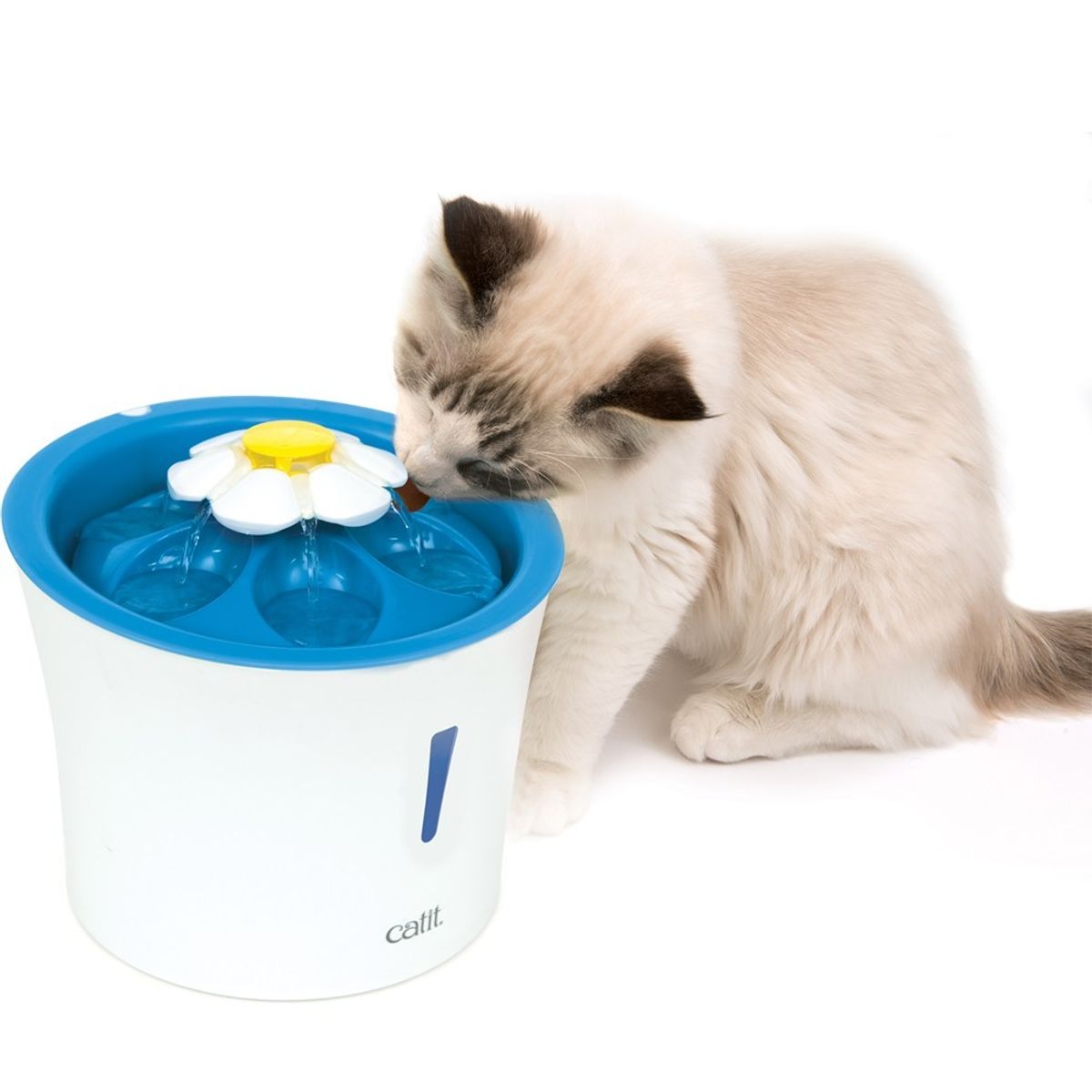 CATIT - Catit Fuente Bebedera Flor 3 Litros con Luz Led para Gatos
