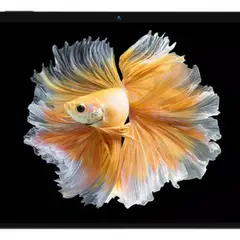 BMAX - Tablet Maxpad I11 Power 11 8gb 256gb 2k Ips 4g