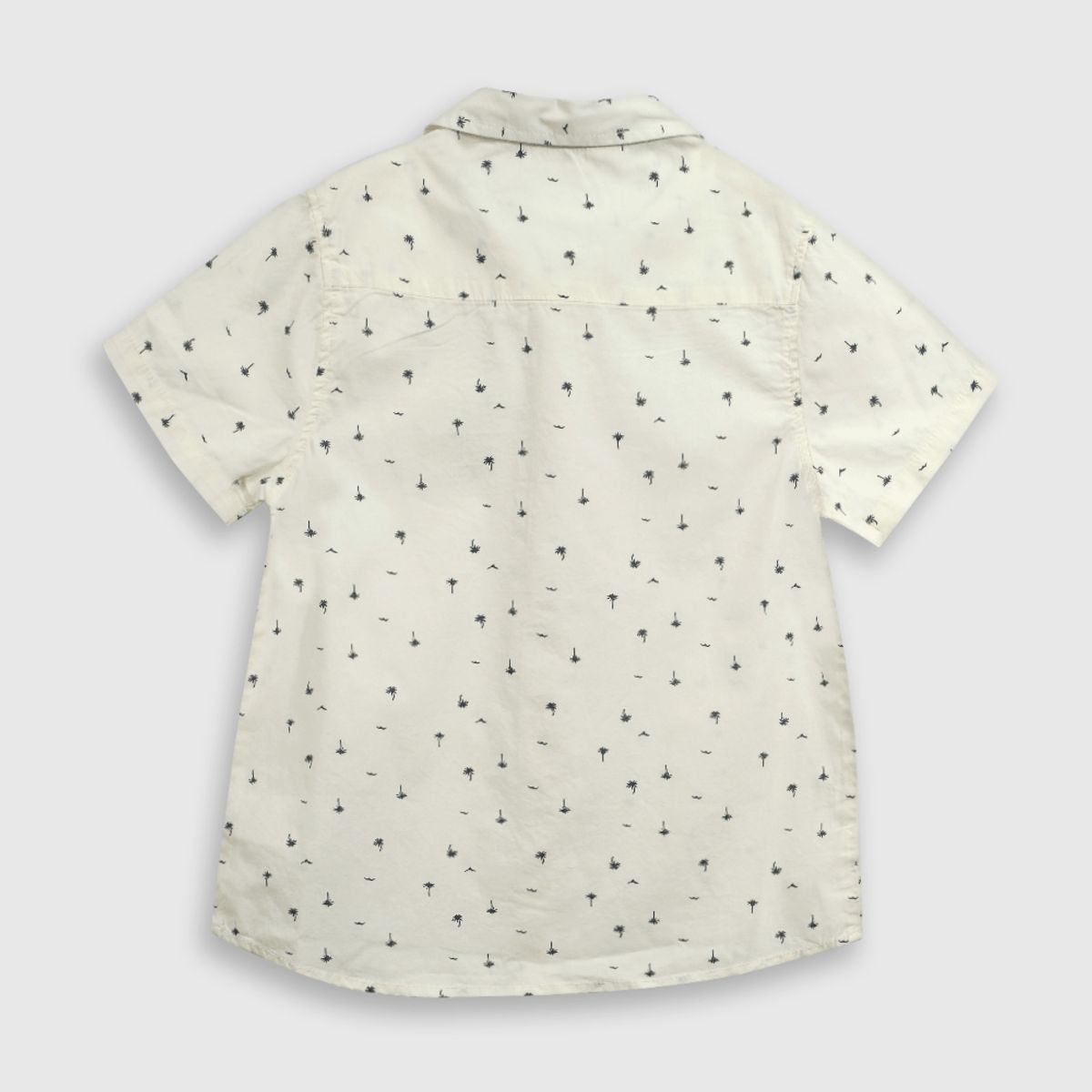 COLLOKY - Camisa Niño Beige 54818 Colloky