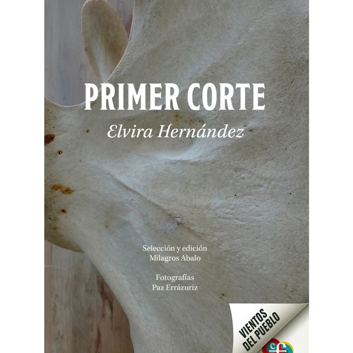 TOP10BOOKS - LIBRO Primer Corte - Primer Corte