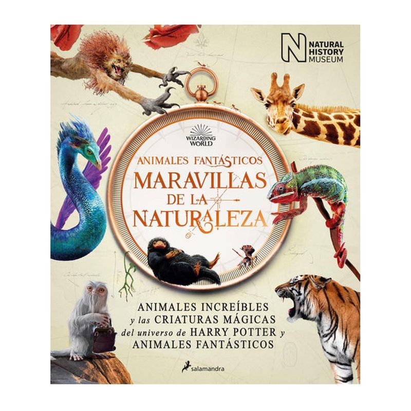 SALAMANDRA - Libro - Animales fantásticos - Maravillas de la naturaleza