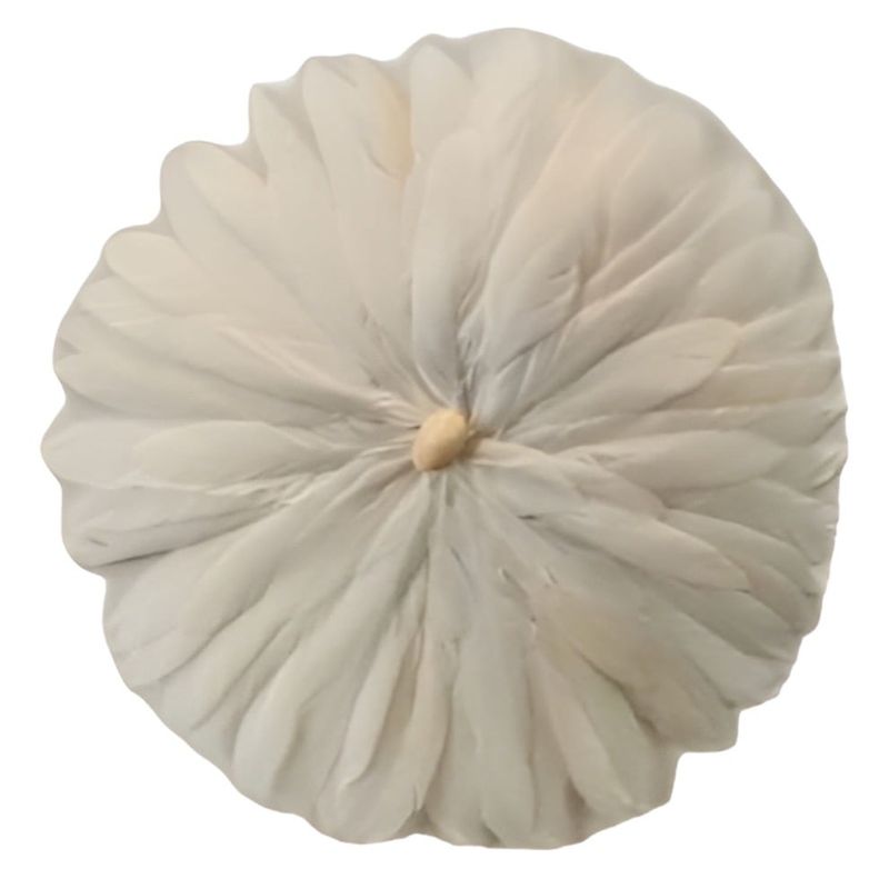 GENERICO - Decorativo Pared Plumas Redondo 25cm