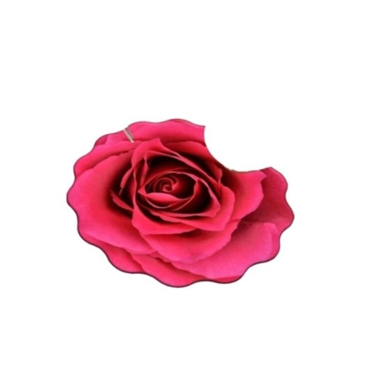 ANGELES DEL HOGAR - Alfombra Redonda en Forma de Flor Fucsia 80cm D