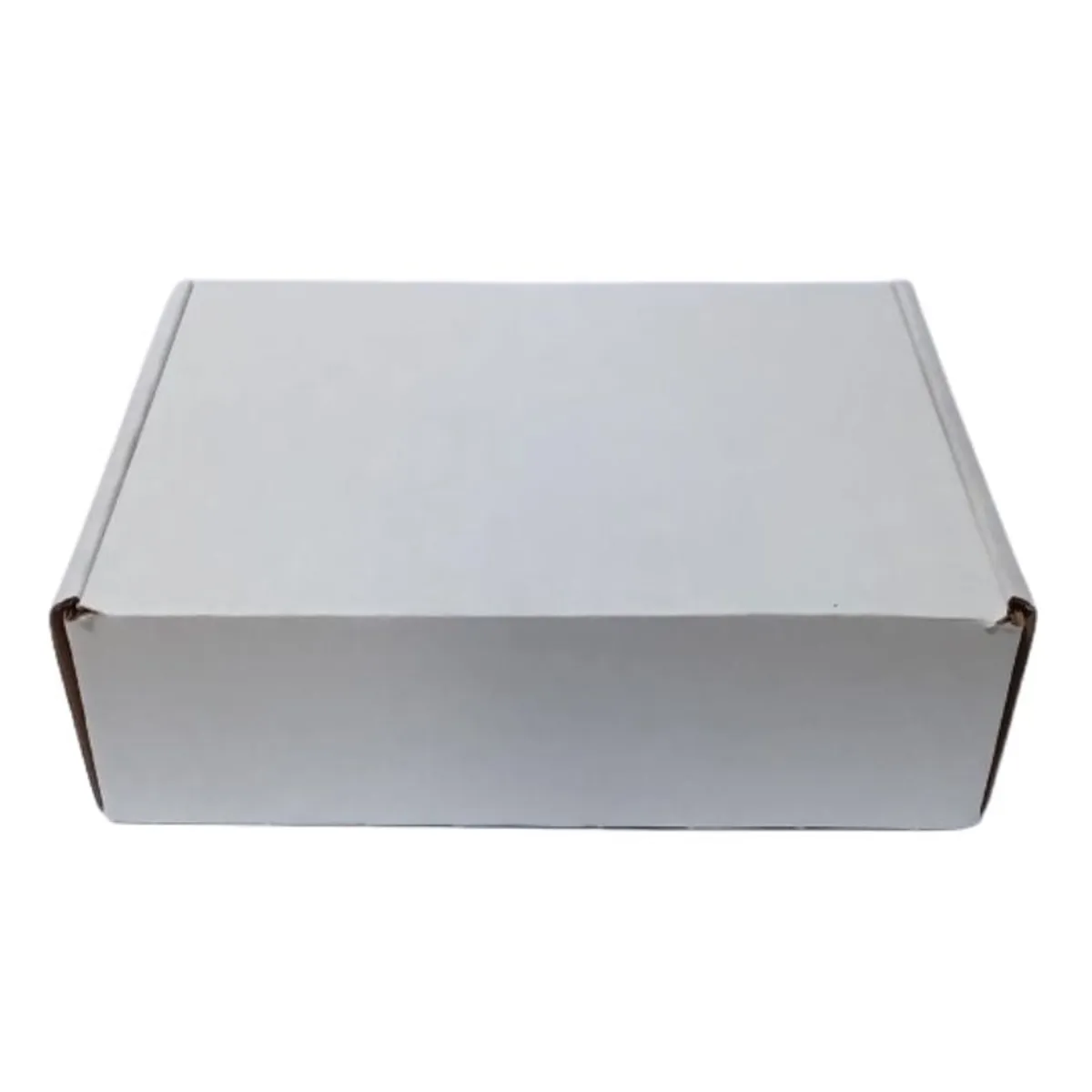 GENERICO - Caja Cartón Autoarmable Multiuso 30x20x10 Blanco 10 Unidades