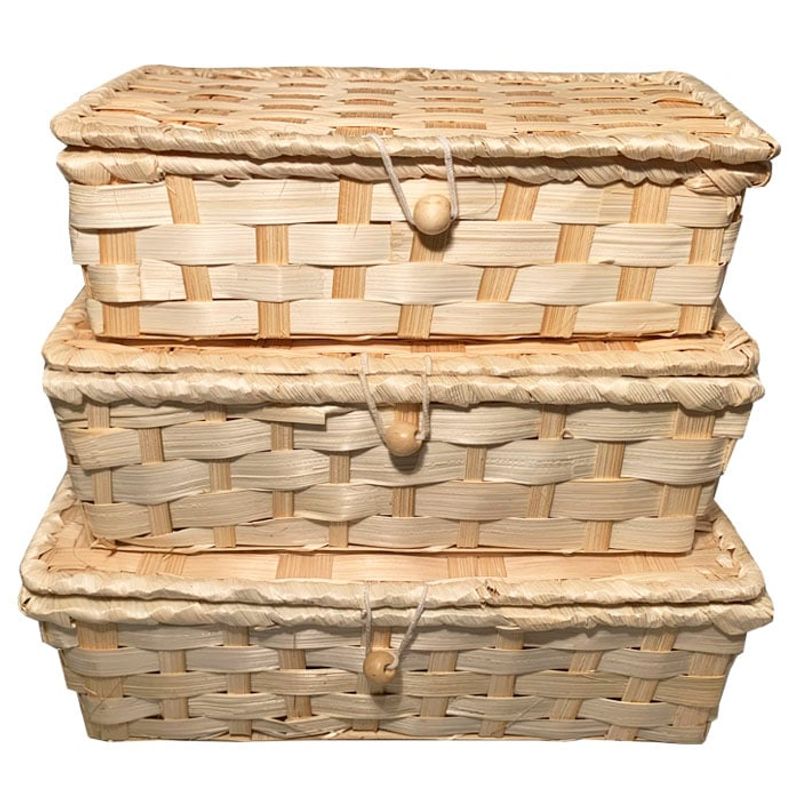 BRIC - Cestas de Almacenaje con Tapa.