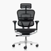 Silla Ergohuman Elite 2 Negro c/cabecero Form