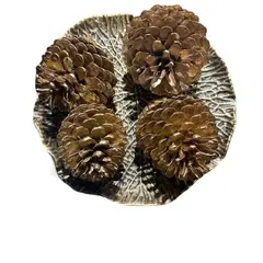 GENERICO - Set piña dorada + bandeja envejecida flor de loto