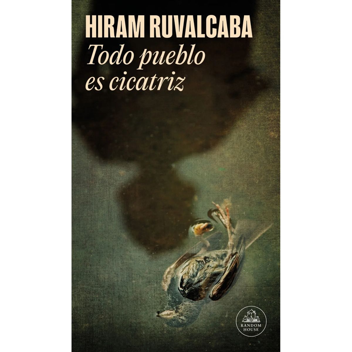 LITERATURA RANDOM HOUSE - Todo Pueblo Es Cicatriz (Mdl)