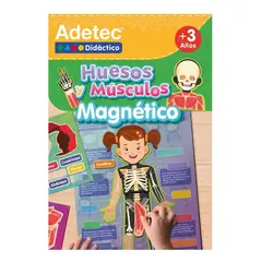 ADETEC - Láminas Magnéticas Huesos Y Musculos Juego Didáctico