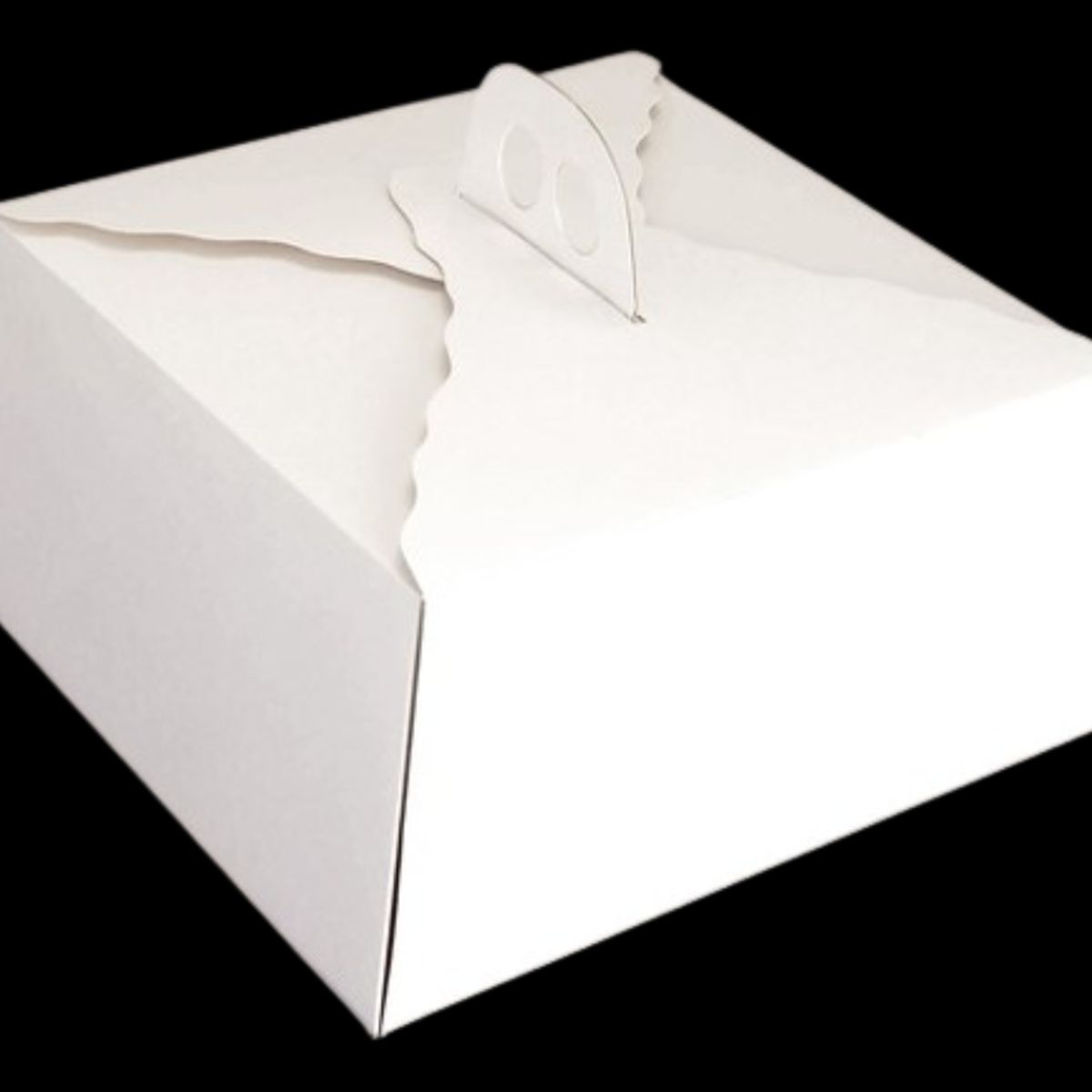 GENERICO - Pack 5 Caja Torta Cuadrada Alta 35x15 cm