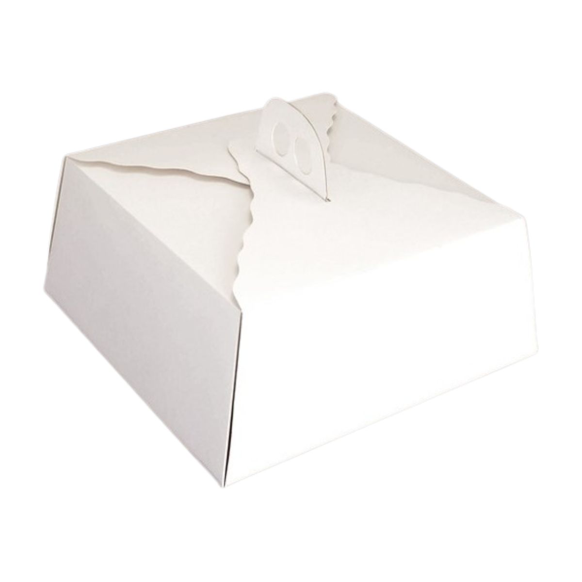 GENERICO - Pack 5 Caja Torta Cuadrada Alta 35x15 cm