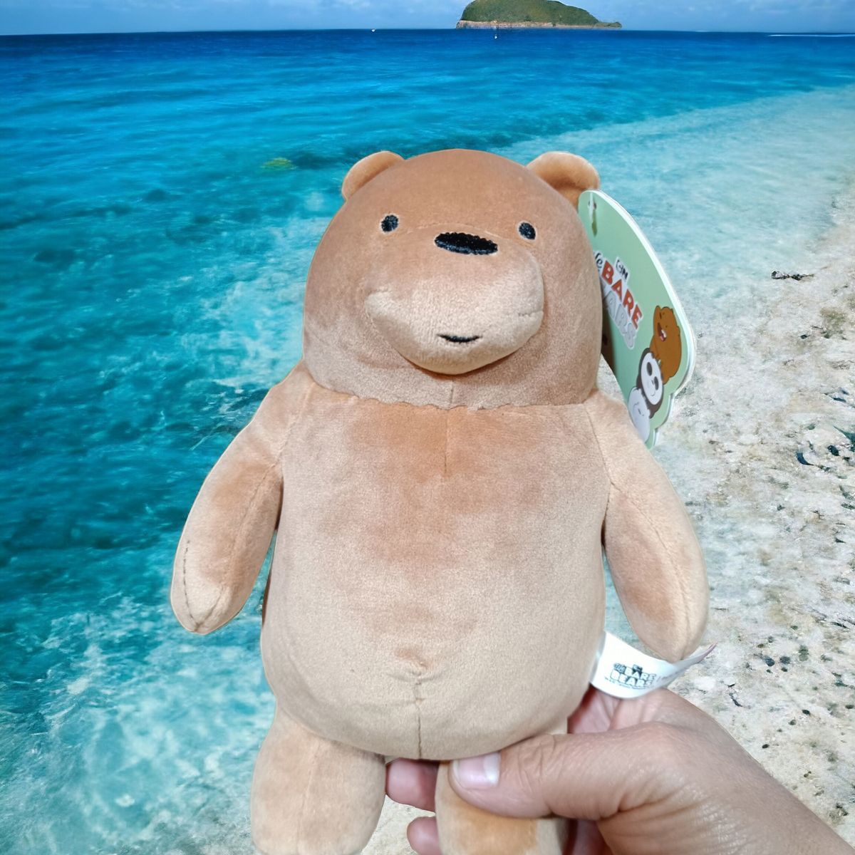 GENERICO - Oso escandaloso pardo Juguete De Peluche Gran calidad