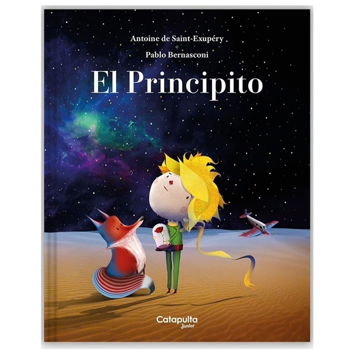 TOP10BOOKS - LIBRO El Principito By Pablo Bernasconi (tapa Dura)