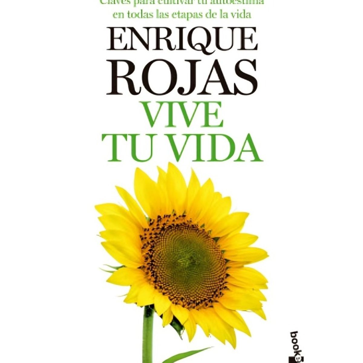 TOP10BOOKS - LIBRO Vive Tu Vida - Vive Tu Vida