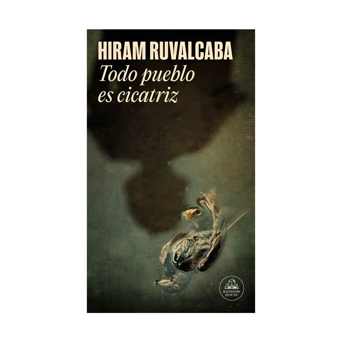 TOP10BOOKS - LIBRO TODO PUEBLO ES CICATRIZ - MAPA DE LAS LENGUAS / HIRAM RUVALCABA / RANDOM