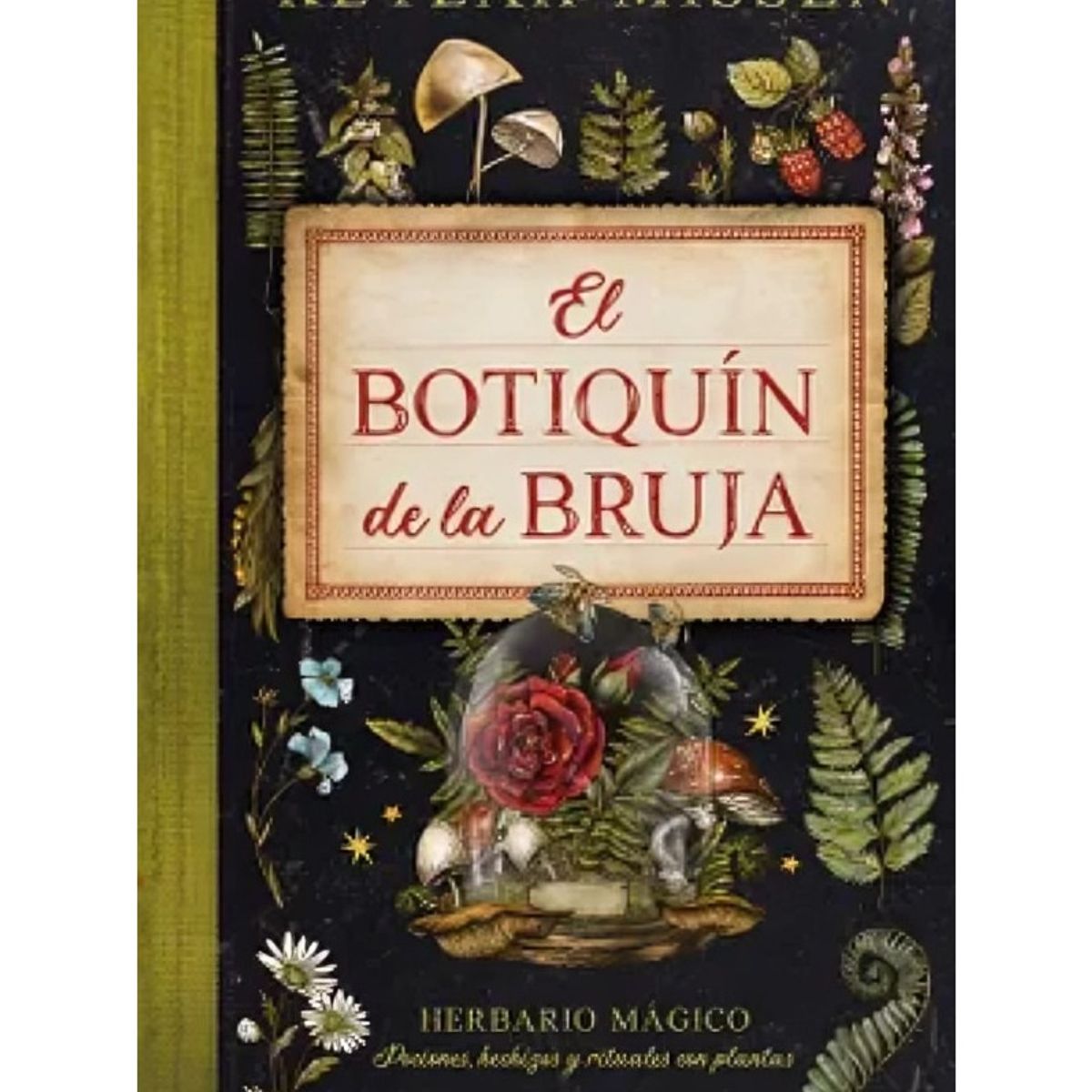 TOP10BOOKS - LIBRO El Botiquín De La Bruja - El Botiquín De La Bruja