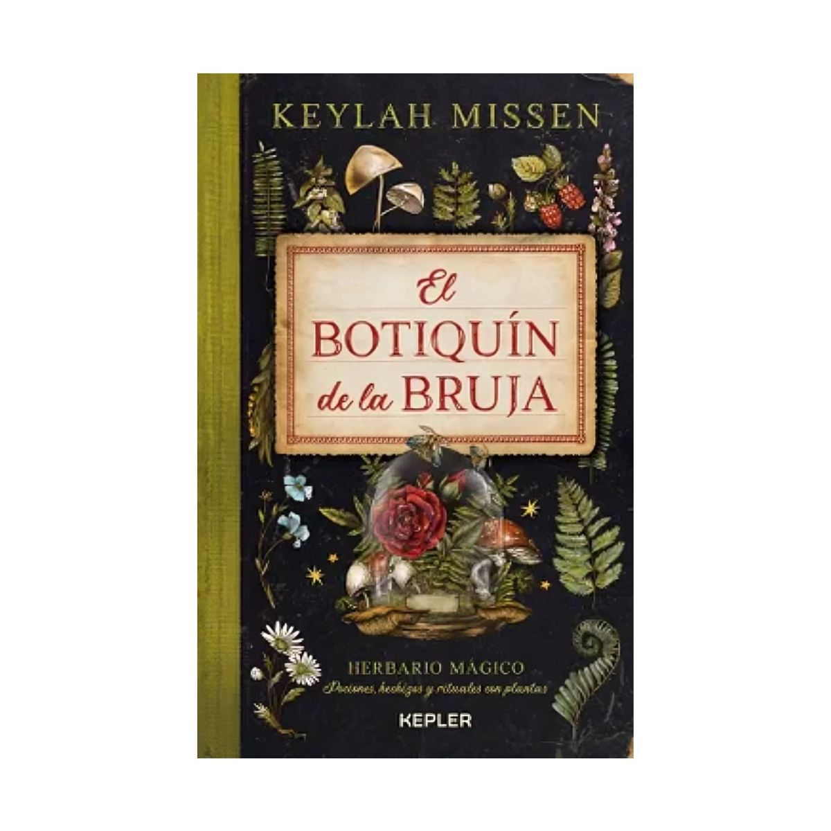 TOP10BOOKS - LIBRO El Botiquín De La Bruja - El Botiquín De La Bruja