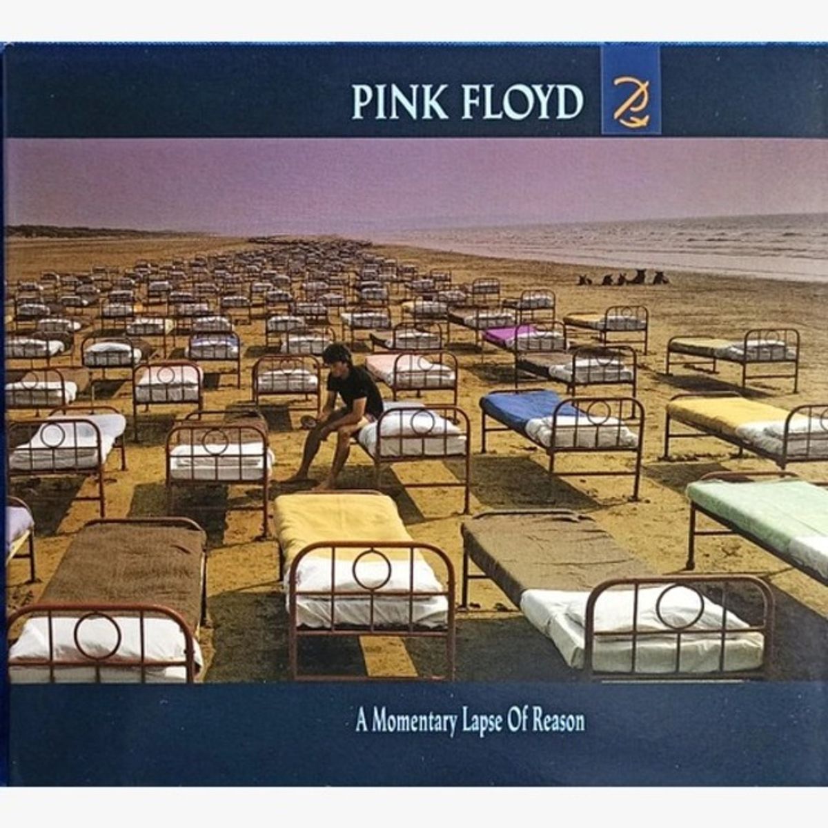 GENERICO - CD Pink Floyd - A Momentary Lapse Of Reason