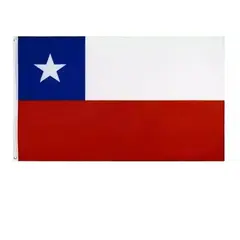 GENERICO - Banderas De Chile Bandera Chile Chilena 90 X 60 Tela
