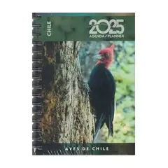 TOP10BOOKS - Agenda Aves De Chile 2025 - Día Por Página, Varios Autores