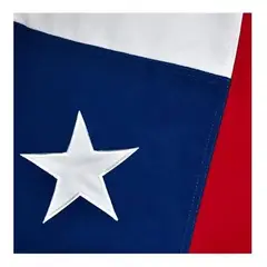 GENERICO - Bandera Chilena 100 x 150 Cm Tela Bordada Reforzada Chile