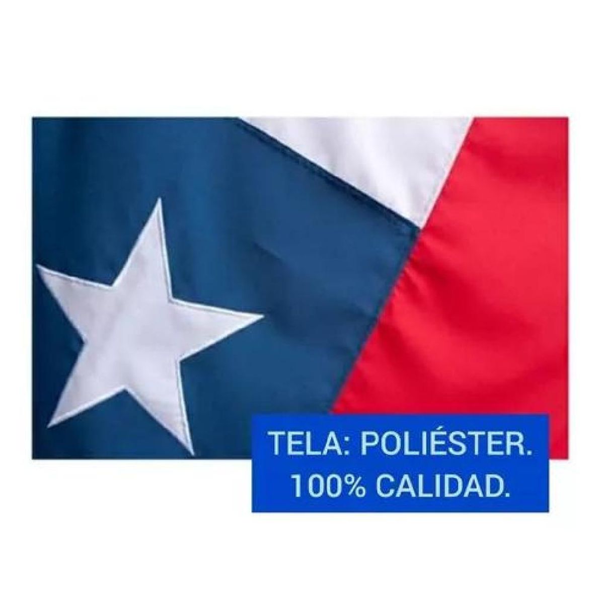 GENERICO - Bandera Chilena 100 x 150 Cm Tela Bordada Reforzada Chile