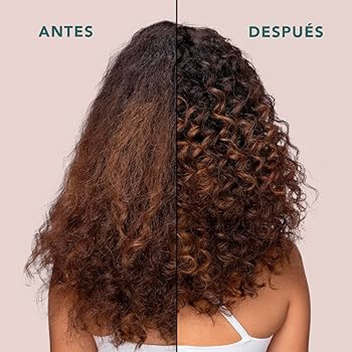 SEBASTIAN - Shampoo Para Cabello Rizado Twisted 250 ML