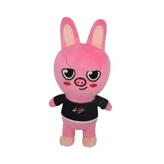 GENERICO - Peluches Skzoo De Stray Kids K-pop Dwaekki-Changbin