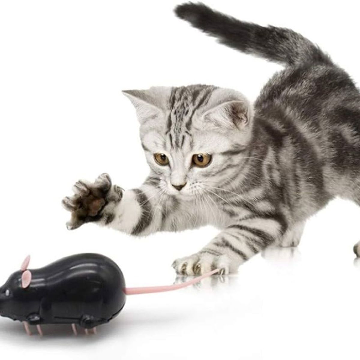 METALFER - Juguete Ratón Eléctrico Para Gatos Interactivo