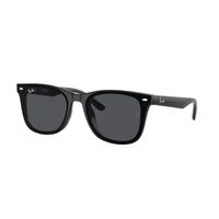 Ray-Ban RB4420