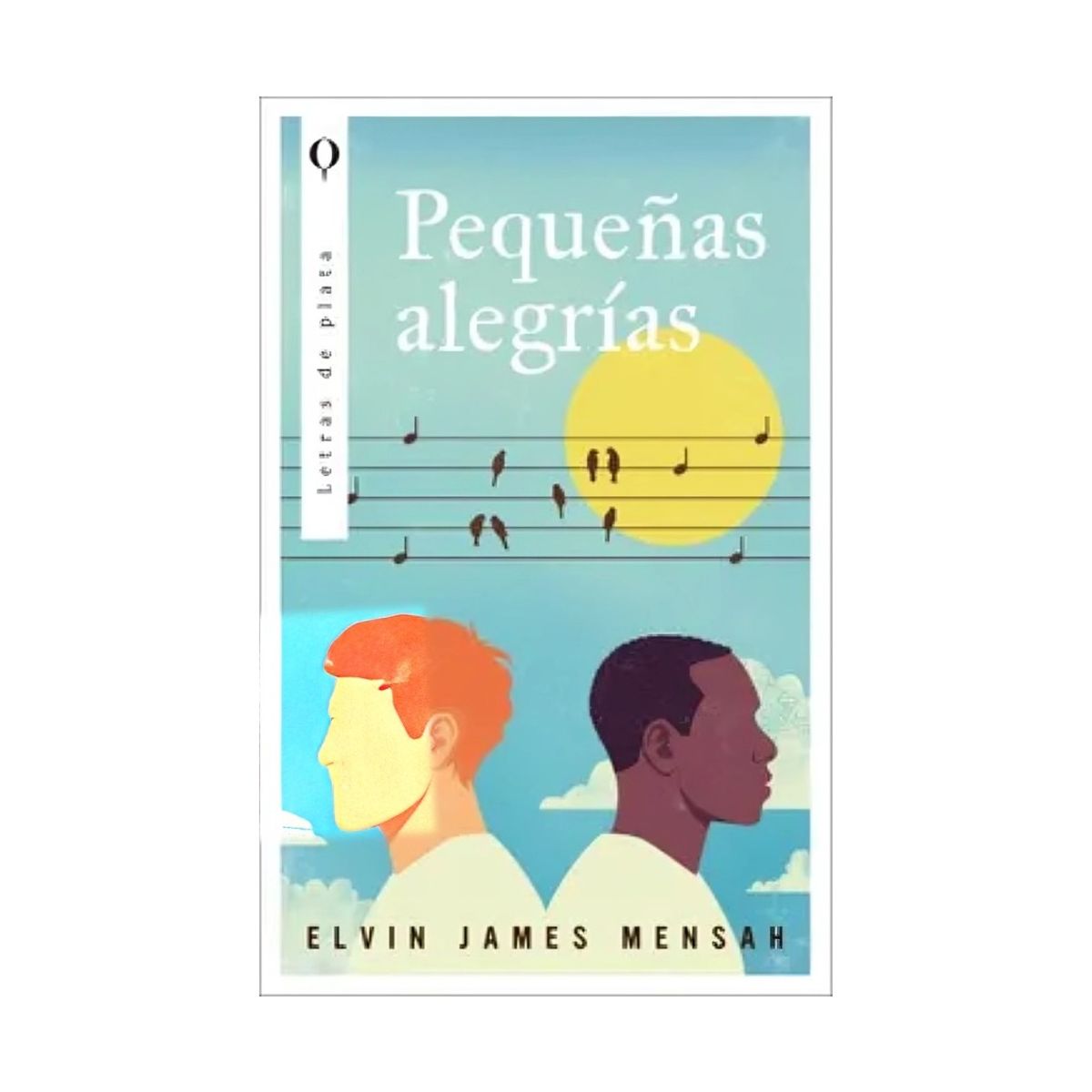 TOP10BOOKS - LIBRO Pequeñas Alegrías - Pequeñas Alegrías