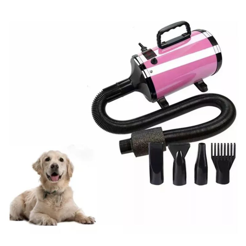 EVEREEN - Secador De Pelo Para Peluquería Canina Turbina Perro Y Gato-