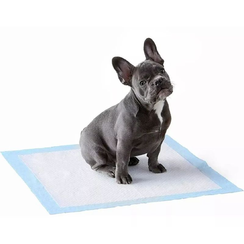 GENERICO - 40 Sabanilla Perros 60x90 Baños Sanitarios Pañales Mascotas