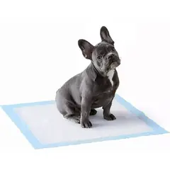 GENERICO - 40 Sabanilla Perros 60x90 Baños Sanitarios Pañales Mascotas