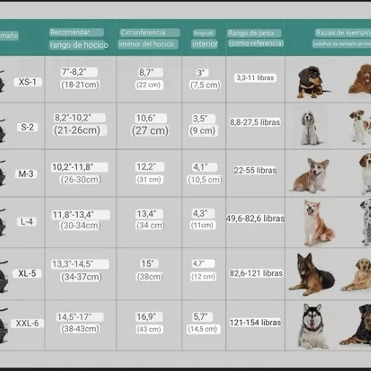 GENERICO - Bozal Perro Grandes Bozal Para Perro Bozal Perro Talla L