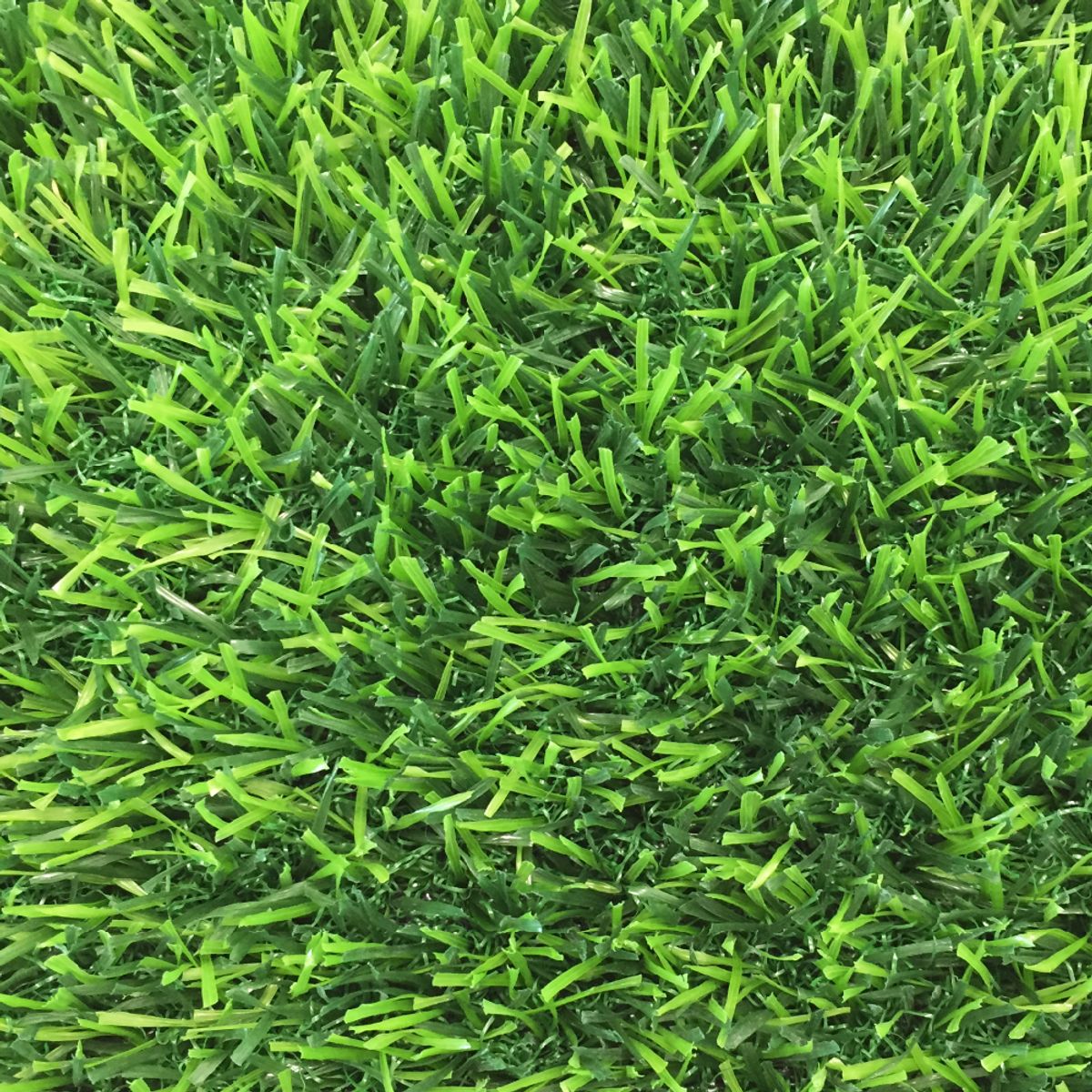 HOME GRASS - Pasto Sintetico 20 milimetros espesor 20 mt2