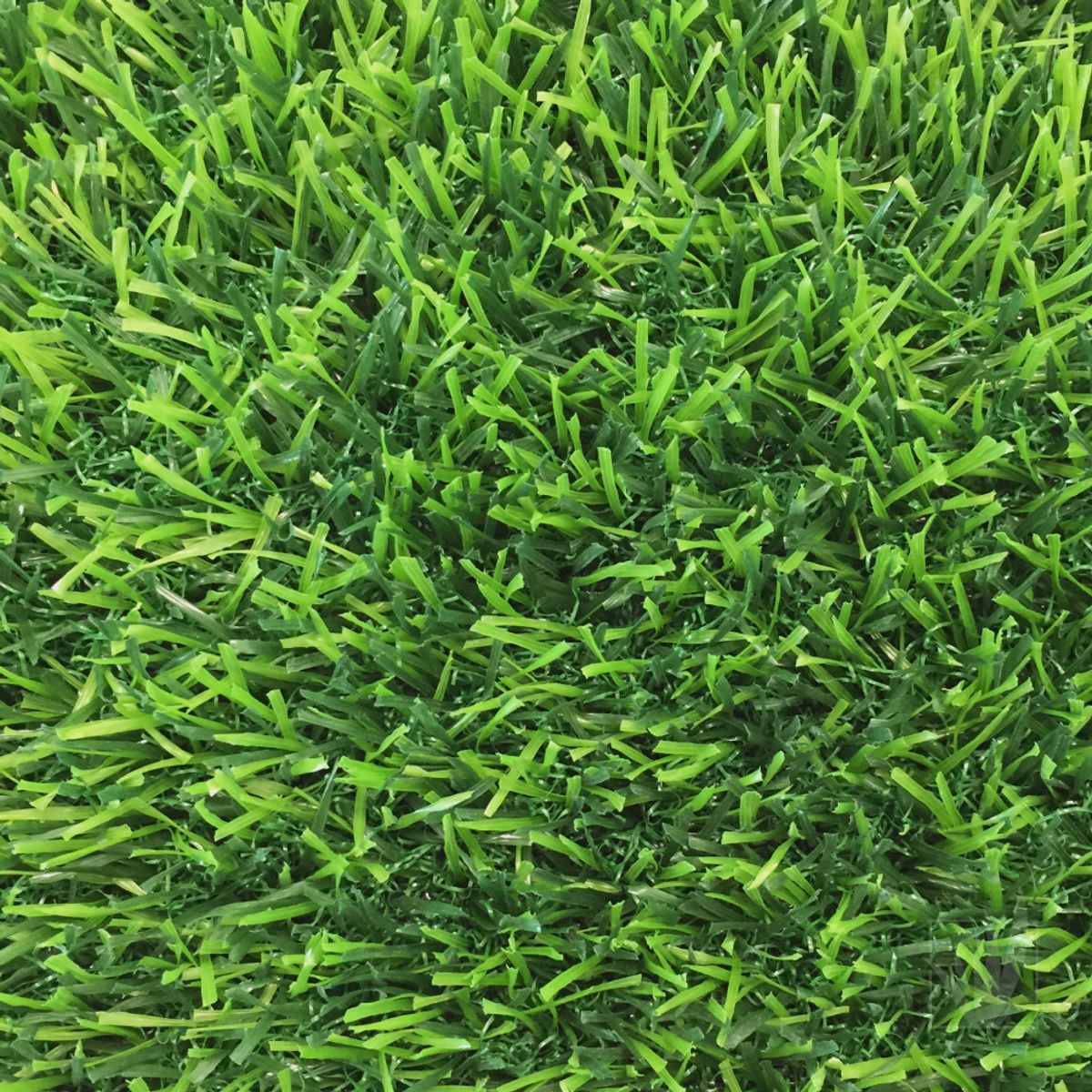 HOME GRASS - Pasto Sintetico 20 milimetros espesor 30 mt2