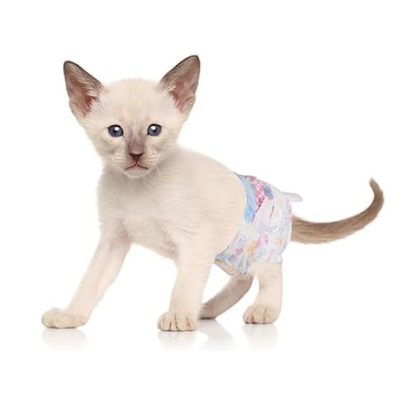 GENERICO - X20 Pañales Para Perros Pañales Para Perro Pañales Gato Xs