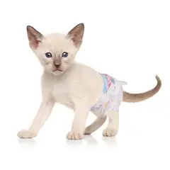 GENERICO - X20 Pañales Para Perros Pañales Para Perro Pañales Gato Xs