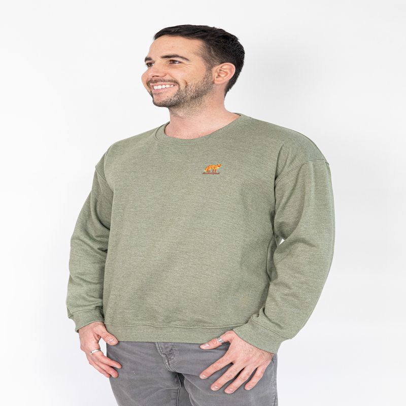 ANDESGEAR - Poleron Hombre Pichicuy Verde Andesgear