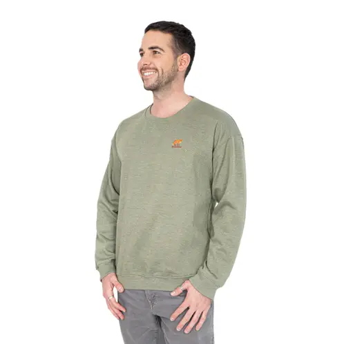 ANDESGEAR - Poleron Hombre Pichicuy Verde