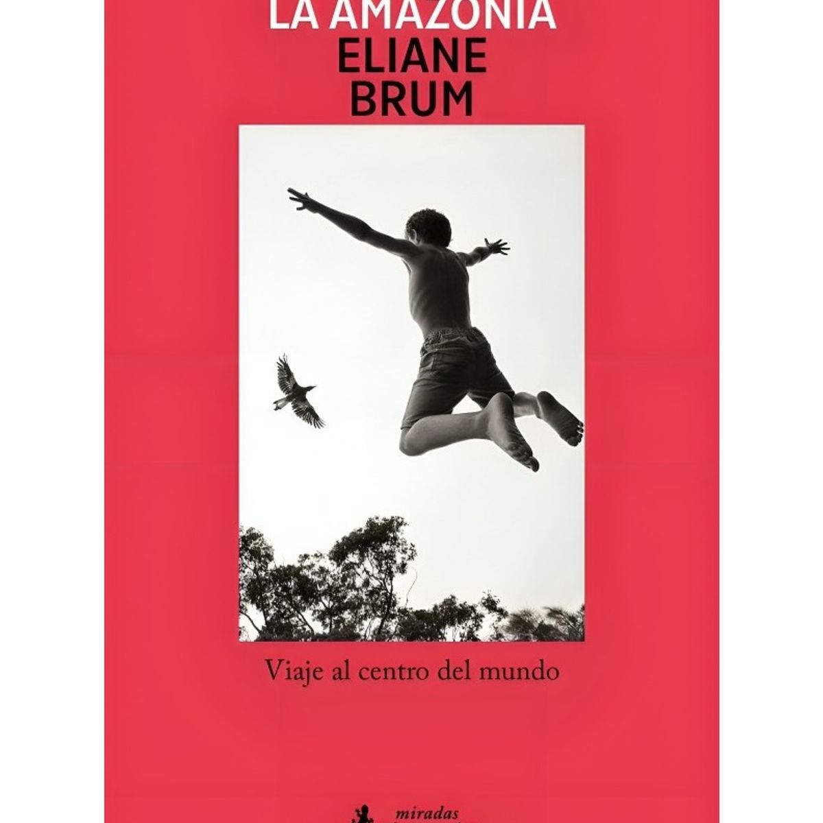 TOP10BOOKS - LIBRO La Amazonia - La Amazonia